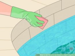 Image titled eradicate Green liquid in a Swimming Pool action 4