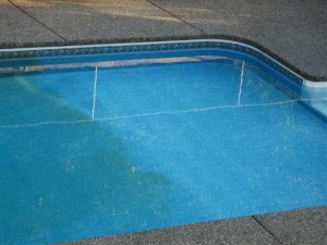 swimming pool issues, issue with my pool, pool spots, swimming pool algae, algae children's pool