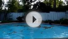 Copper Pool Frisbee