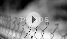 Fencing Wire Mesh. Stock Video 801478 | HD Stock Footage
